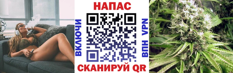 продажа наркотиков  Новозыбков  Канабис AK-47 